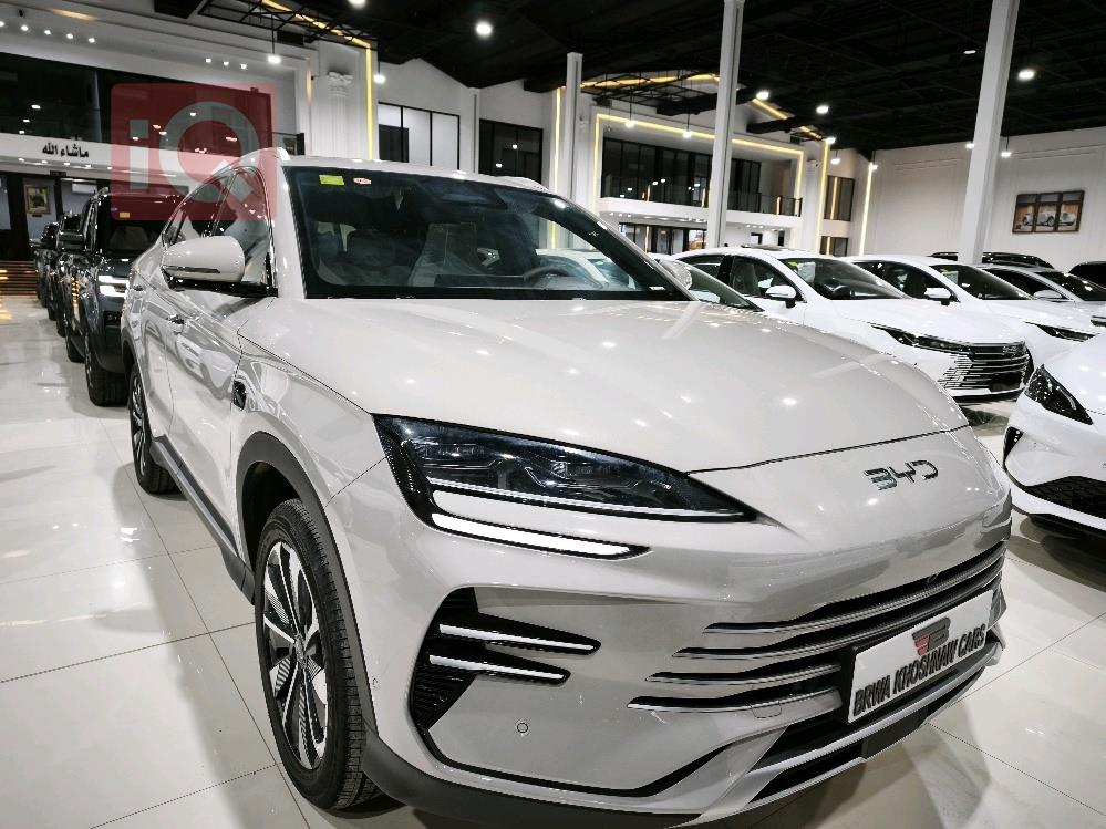 بي واي دي سونغ بلس